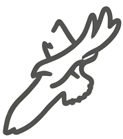 Flying eagle bird outline icon